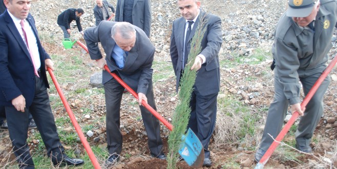 Ağaçlandırma Seferliğine KAGEM’de katıldı.Kahramanmaraş’ta 10 bin Fidan Toprakla Buluştu.
