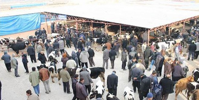 BÜYÜKŞEHİR KURBAN SATIŞ VE KESİM YERLERİNİ AÇIKLADI.