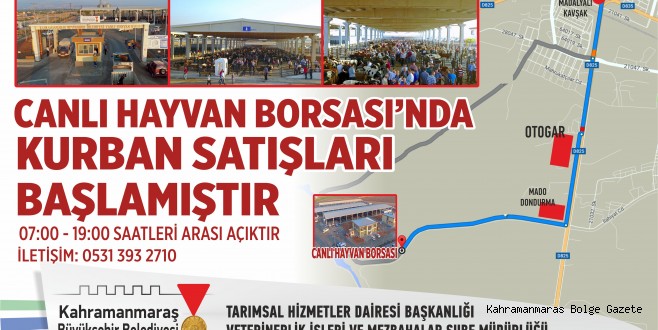 CANLI HAYVAN BORSASINDA KURBAN SATIŞLARI BAŞLADI