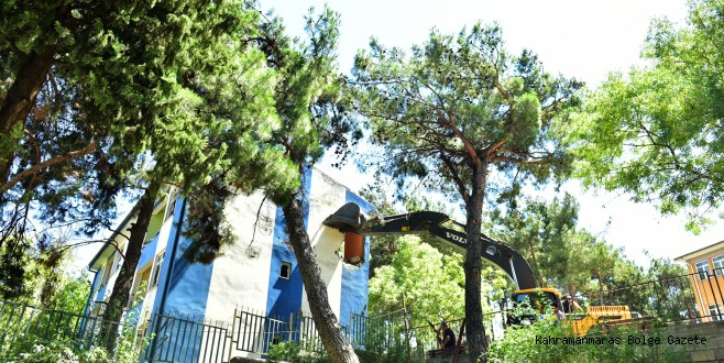 ÇARŞAMBA PAZARINA MODERN DÖNÜŞÜM