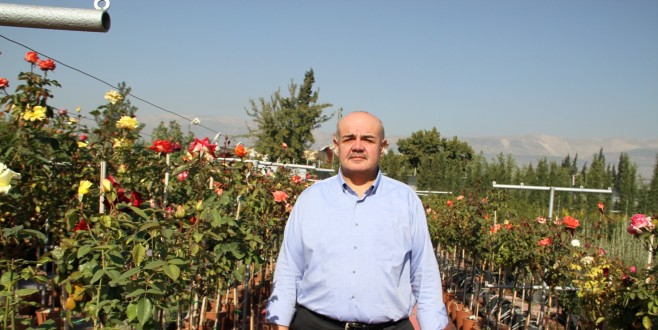 Ceviz yetiştiriciliğinde doğru bilinen yanlışlar