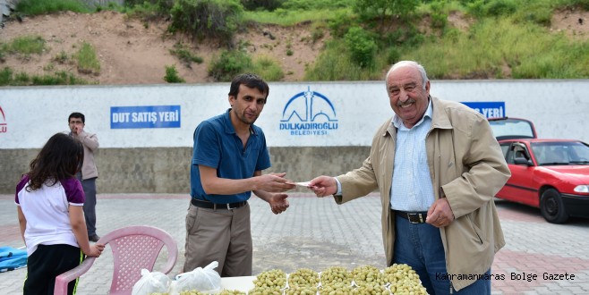 DULKADİROĞLU DUT SATIŞ NOKTASI'NDA SEZON AÇILDI