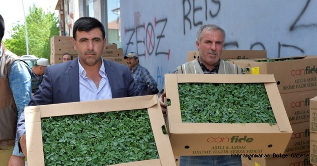 Elbistanlı Çiftçiler Tarımsal Yeniliklerle Buluşuyor.