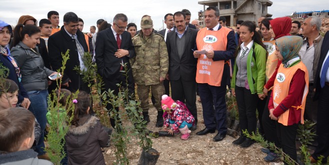 Kaymakam Dr.BOZTEPE''Fidanlarımızı Toprakla buluşturduktan sonra Ormanlarımızı korumak hepimizi en önemli görevidir''