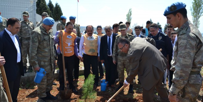 Pazarcık’ta Fidanlar Toprakla buluştu.