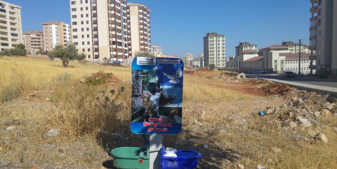 SOKAK HAYVANLARI İÇİN BÜYÜKŞEHİR HER YERDE