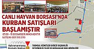 CANLI HAYVAN BORSASINDA KURBAN SATIŞLARI BAŞLADI