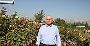 Ceviz yetiştiriciliğinde doğru bilinen yanlışlar