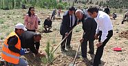 EKİNÖZÜ’NDE ABDÜRRAHİM KARAKOÇ ANISINA HATIRA ORMANI