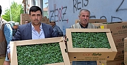 Elbistanlı Çiftçiler Tarımsal Yeniliklerle Buluşuyor.