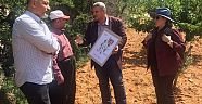 KSÜ Orman Fakültesi, Yürüttüğü Projeyle Maraş Kurtkulağı’na Dikkat Çekti