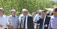 VALİ GÜVENÇER PAZARCIK İLÇEMİZDE BAĞ VE BAHÇE HASADINA KATILDI