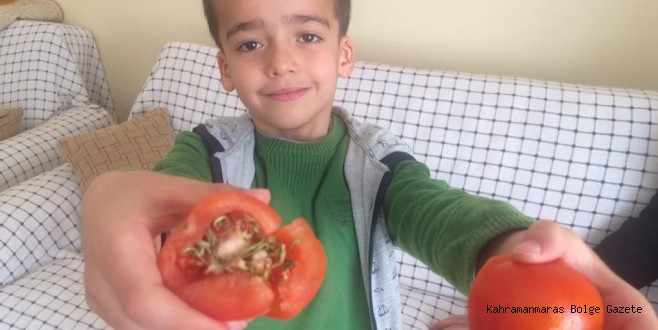 YİYECEKLERİMİZİN GENETİĞİ İLE OYNADINIZ,SAĞLIĞIMIZLA OYNAMAYIN.